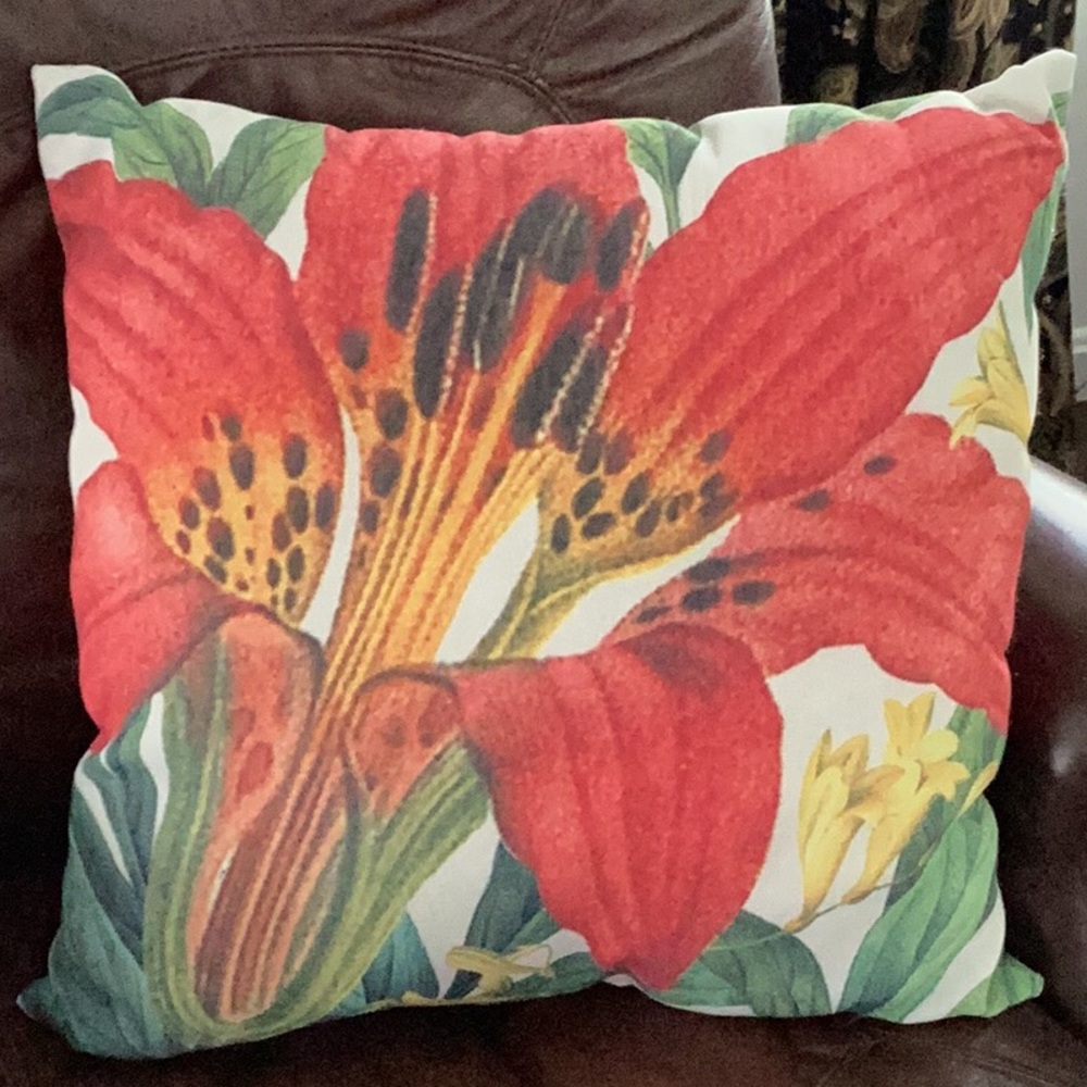 Pottery Barn Lilly Pillow
